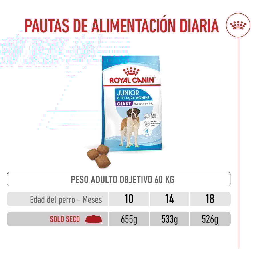 Royal Canin Junior Giant pienso para perros thumbnail