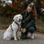 Non-stop Dogwear Arn&eacute;s Turquesa y Roble para perros, , large indicador imagen numero 2