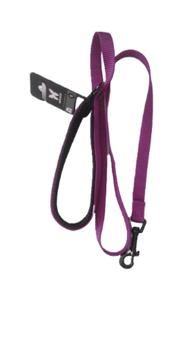 Martin Sellier Correa de Nylon para perros y gatos