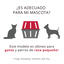 Nayeco Bolso Transportín con Ventana para perros , , large indicador imagen numero 2