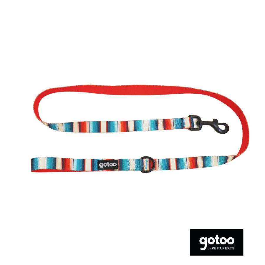 Gotoo Correa multicolor de rayas para perros thumbnail