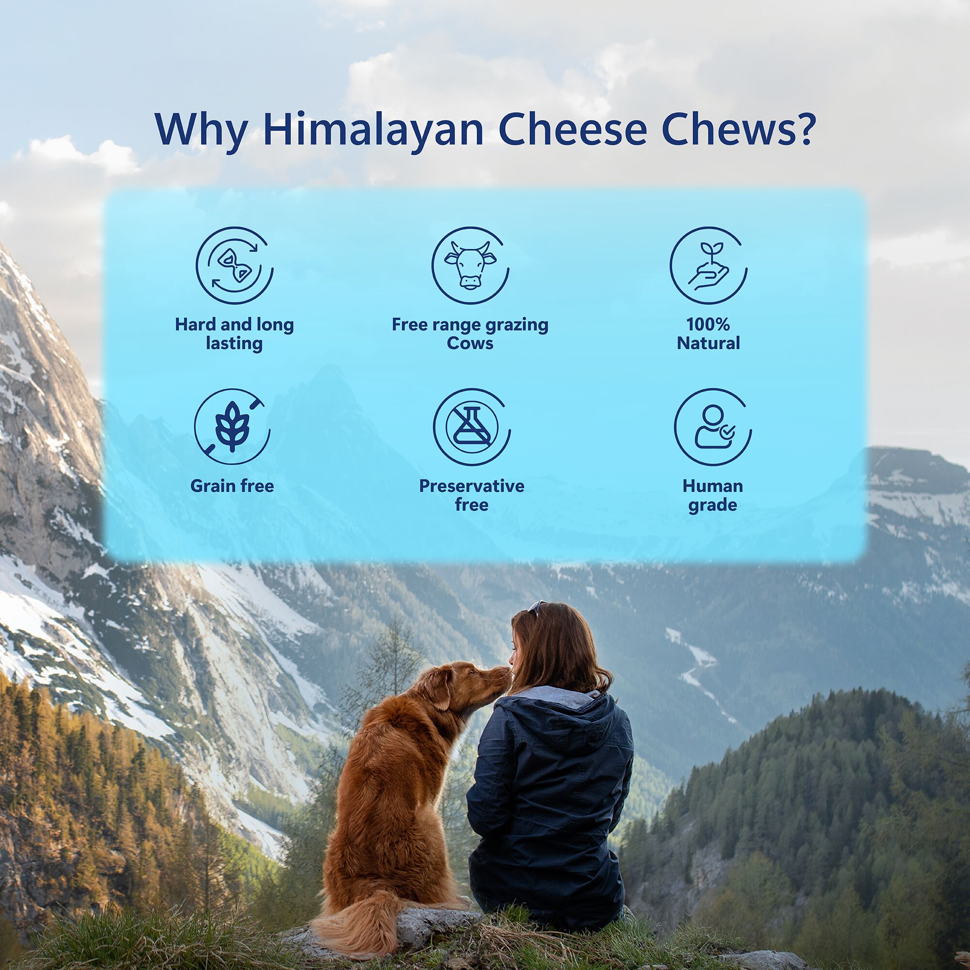 Pawfect Masticables dentales de queso del Himalaya thumbnail