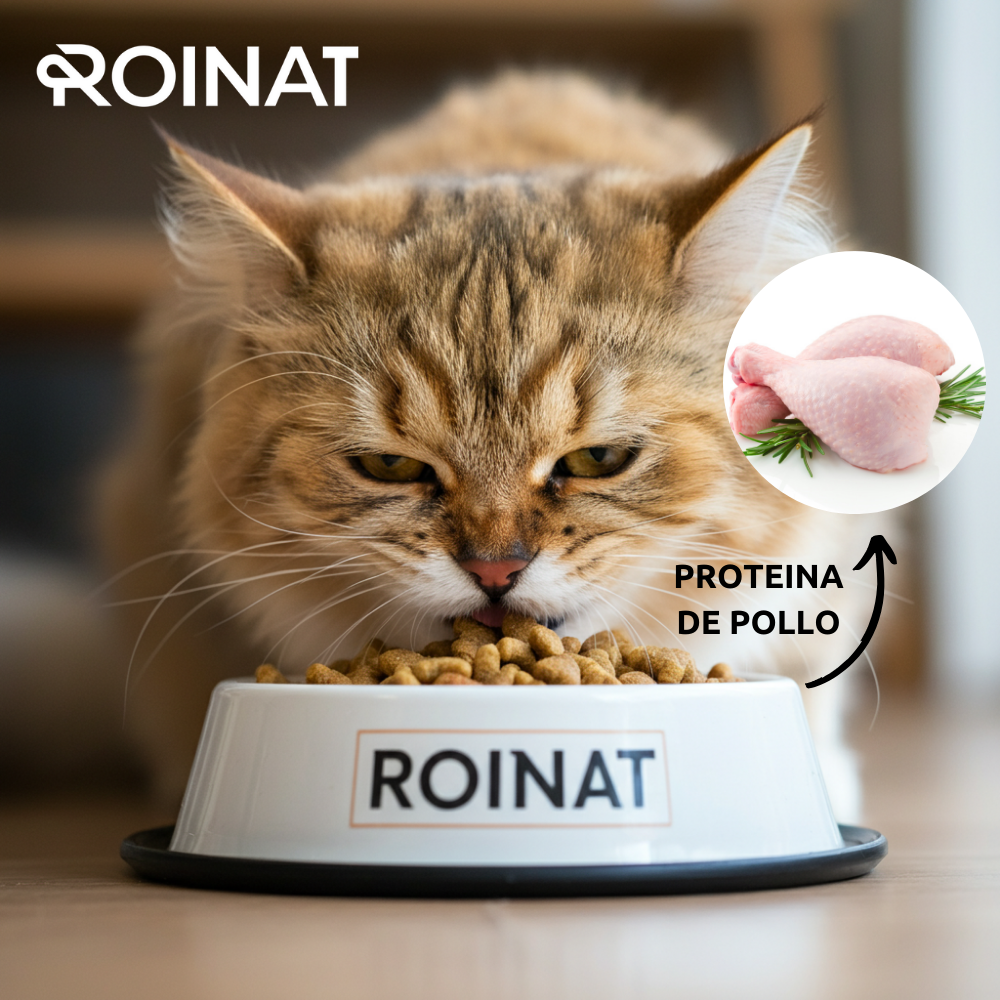 Roinat Cat Adult pienso de pollo para gato, , large Imagen numero 6