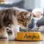 Amykus Original Kitty pienso para gatos, , large indicador imagen numero 4