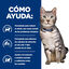 8 kg Hill's Prescription Diet Urinary Stress + Metabolic c/d pienso para gatos, , large indicador imagen numero 4