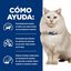 3 kg Hill's Prescription Diet Urinary Care c/d pescado azul pienso para gatos, , large indicador imagen numero 4
