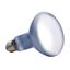 Bombilla DAYLIGHT BASKING SPOT 150 W, , large indicador imagen numero 2