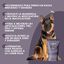 Snack Rabo de Toro para Perros – 1 x 10 Uds, , large indicador imagen numero 4