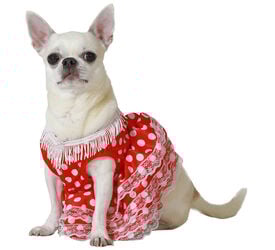 Atosa Disfraz  Flamenca rojo para perros