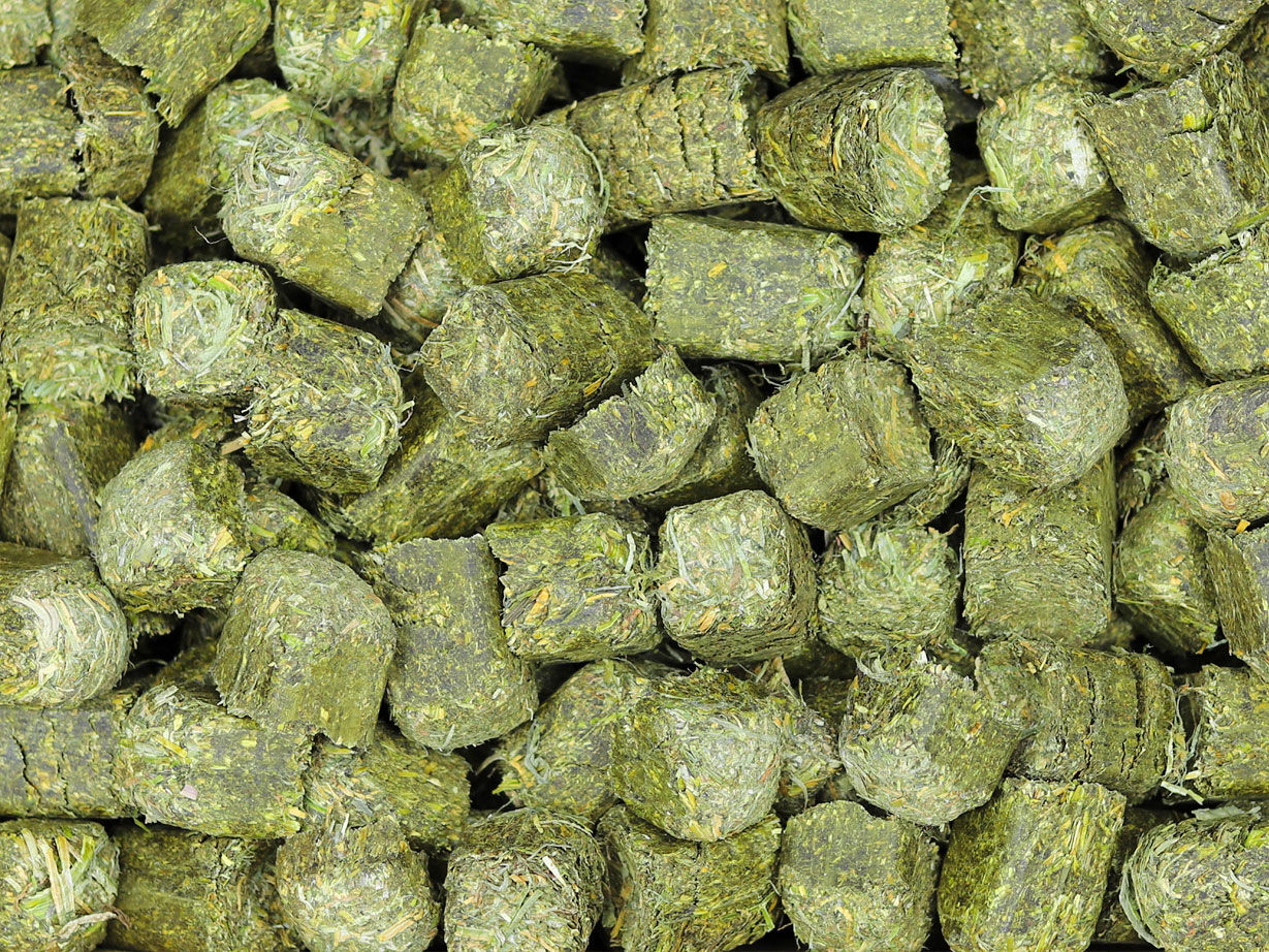 Cubos de alfalfa Linasson 20kg, , large Imagen numero 2