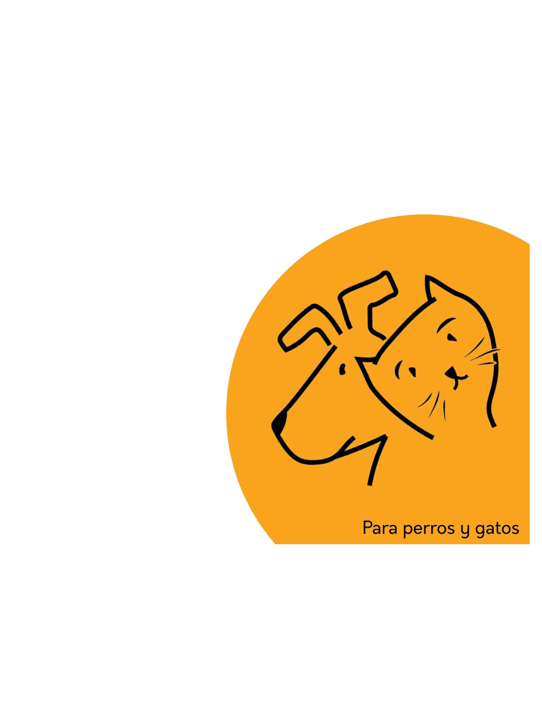 Patas de pollo, , large Imagen numero 4