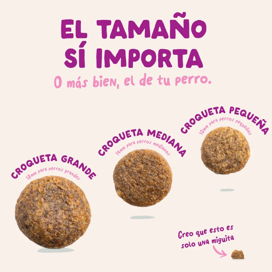 3 kg Edgard & Cooper Pienso Pato y Pollo para cachorros mini, , large Imagen numero 4