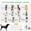 PawHut Remolque de bicicleta para perros, , large indicador imagen numero 4