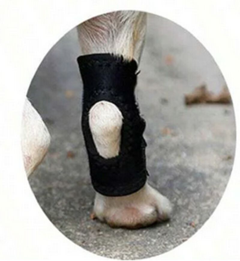 Protector Articular Trasero Talla XL, , large Imagen numero 8