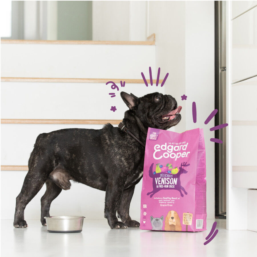 Edgard &amp; Cooper Adult Venado y Pato pienso para perros thumbnail