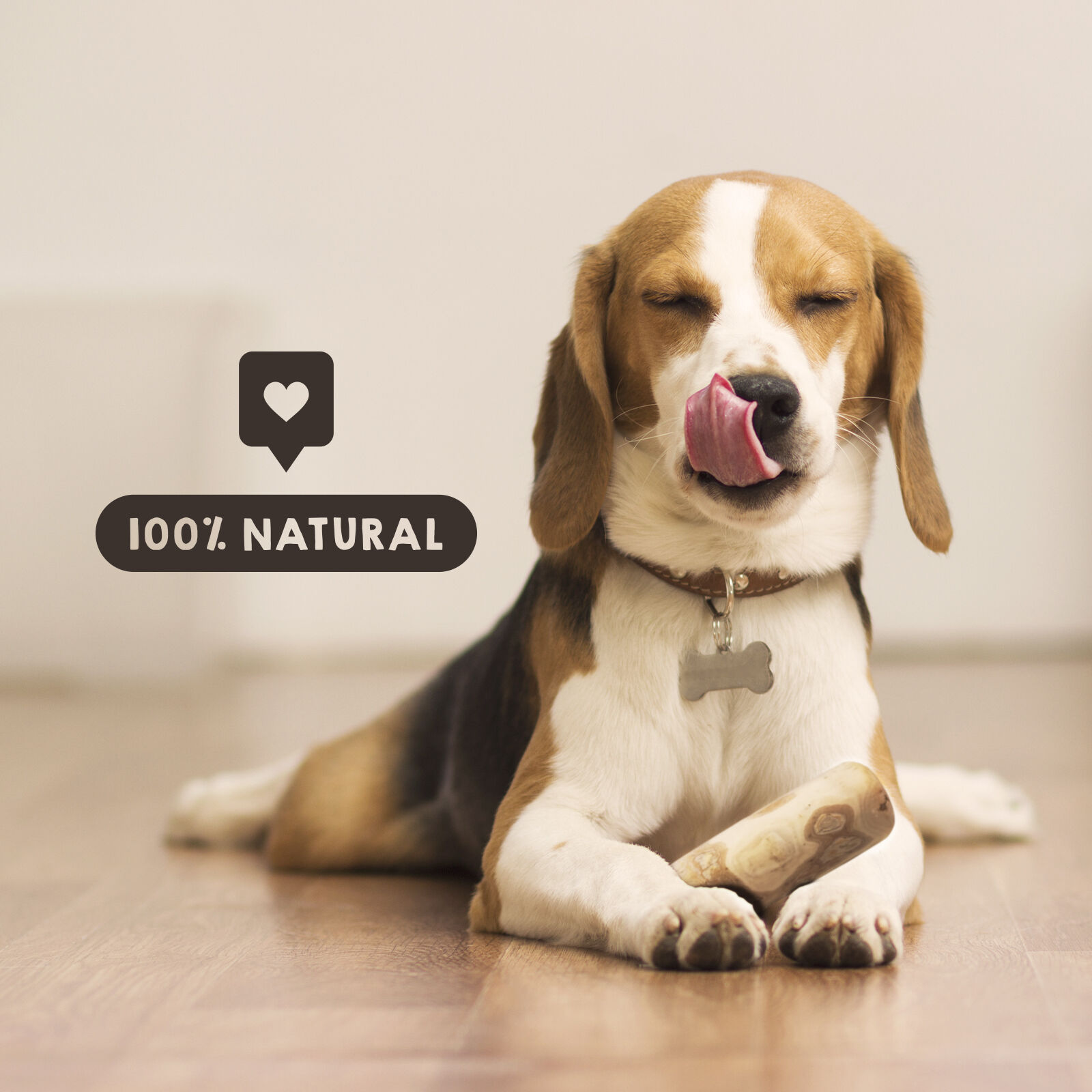 Madera de Caf&eacute; Natural para perros, , large Imagen numero 5