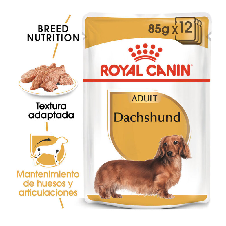 Royal Canin Sobre para Teckel