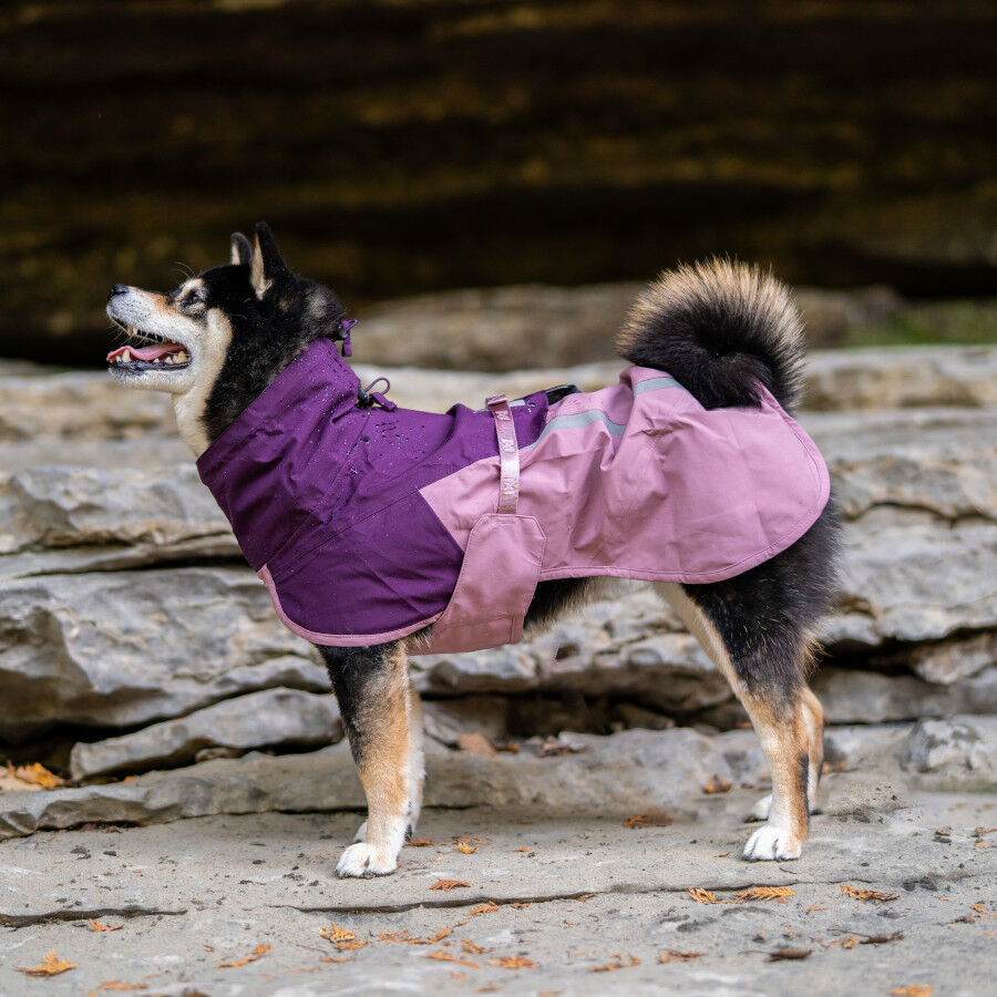 Non-stop Dogwear Chubasquero Impermeable Malva para perros, , large Imagen numero 2