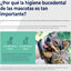 Ecuphar Plaqtiv+ Toallitas Dentales para perros y gatos, , large indicador imagen numero 2