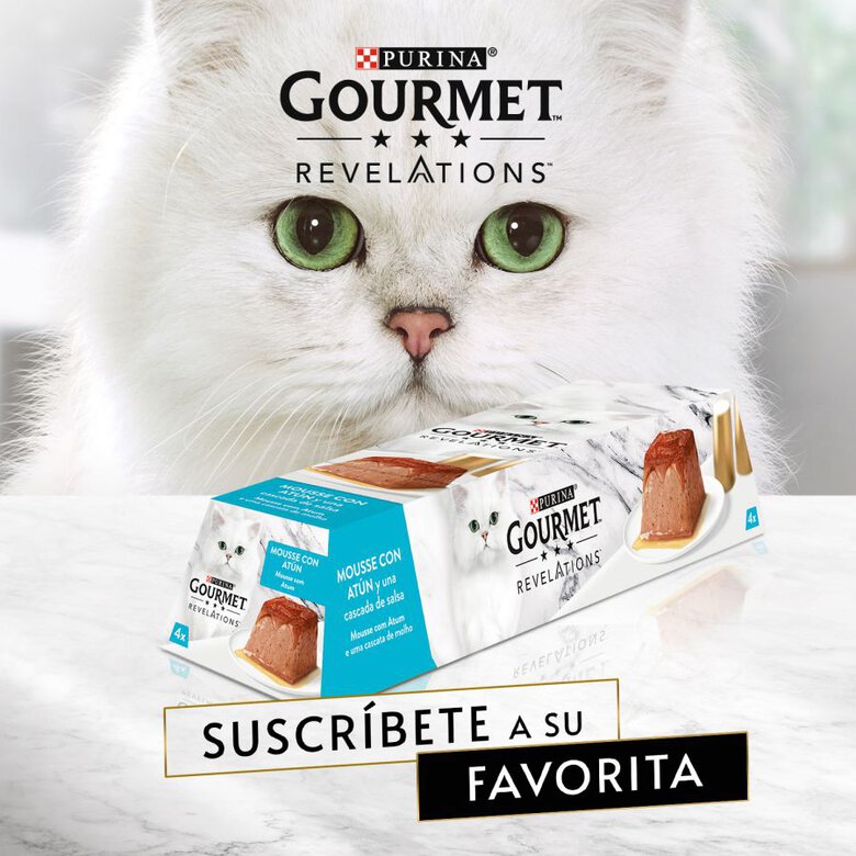 Gourmet Revelations  Atún tarrinas en mousse para gatos, , large image number null