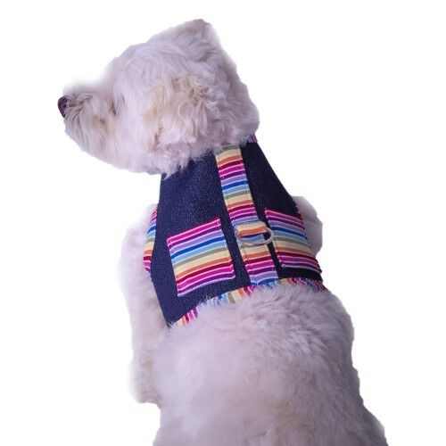 Arn&eacute;s Jasper de dise&ntilde;o para perros color Azul, , large Imagen numero 3
