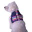 Arnés Jasper de diseño para perros color Azul, , large indicador imagen numero 3