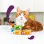 Edgard & Cooper Adult Trocitos de Salmón y Pollo en Salsa lata para gatos, , large indicador imagen numero 3