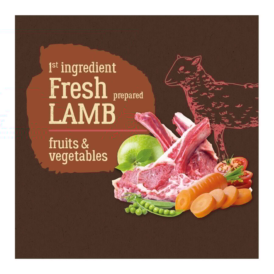 True Origins Pure Grain Free Adult Cordero pienso para perros thumbnail