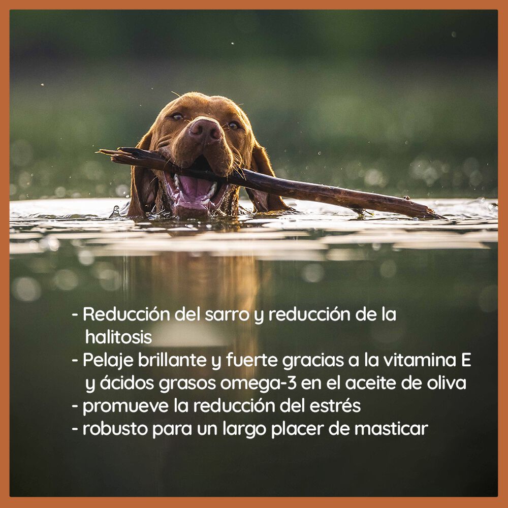 Wildfang Madera de olivo para perros thumbnail