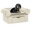 Vidaxl sofá con cajón crema para perros, , large indicador imagen numero 1