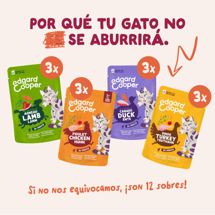 12 x 85 g Edgard & Cooper Festines de la Granja sobre en salsa para gatos, , large Imagen numero 2