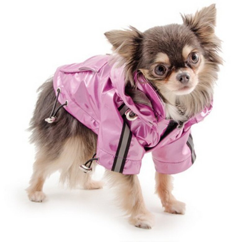Chaqueta impermeable para perros pequeños color Rosa, , large image number null