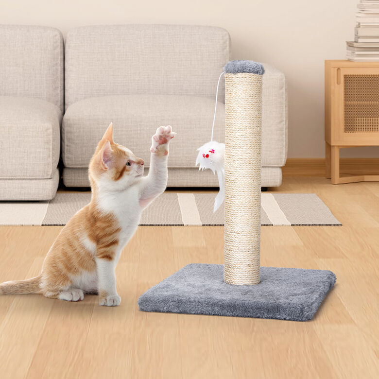 Nobleza Poste Rascador De Sisal Con Juguete para gatos thumbnail