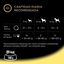 28 tarrinas x 150 g (20 + 8 tarrinas ¡gratis!) Cesar Pollo e Hígado Tarrina en Paté para Perros, , large indicador imagen numero 5