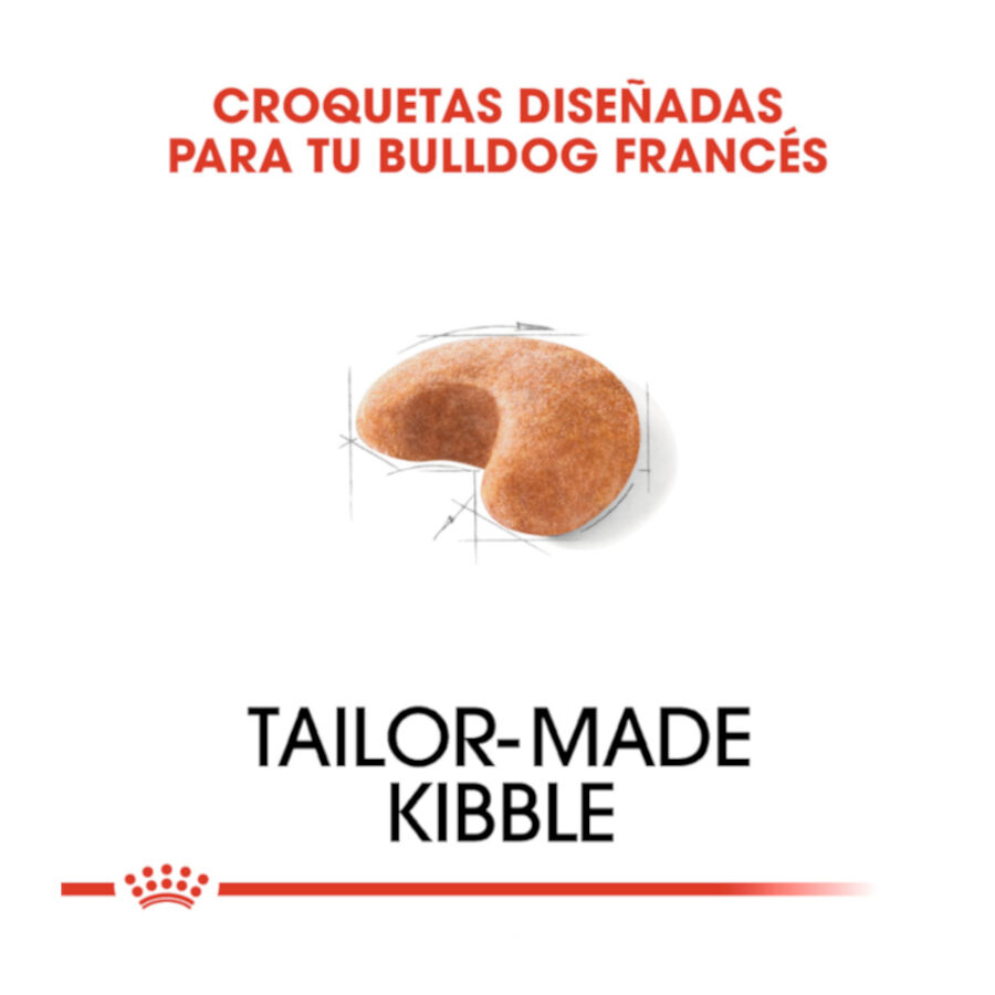 Royal Canin French Bulldog Adult pienso para perros thumbnail