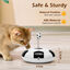 Nobleza - 5-in-1 Juguetes para Gatos con LED Rojo, Juego gatos Inteligencia Automático en Movimiento para Gatos, Juguetes para Gatos Inteligentes con Pluma y Bola con Muelle, Blanco y negro, , large indicador imagen numero 2