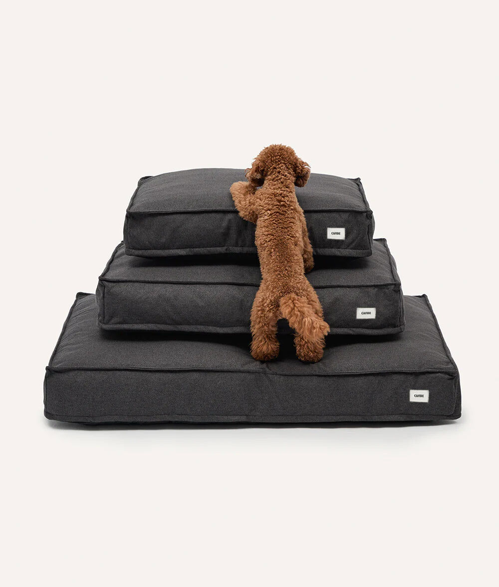 Cama perro basic, CUADRA, , large Imagen numero 5