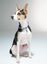 Collar para perros | Friends - Purple Door, , large indicador imagen numero 4