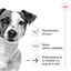 195 g Royal Canin Mini 8+ Ageing lata para perros, , large indicador imagen numero 4