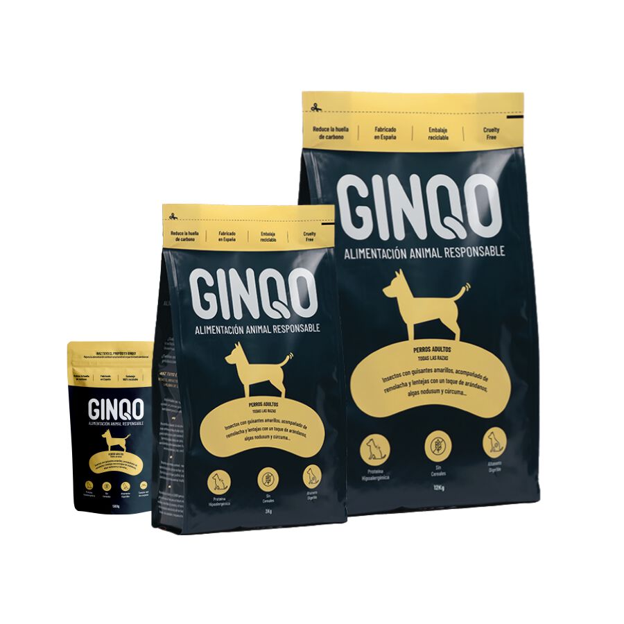 GINQO PERROS ADULTOS: HYPOALERG&Eacute;NICO, GRAIN FREE Y SOSTENIBLE. HECHO CON PROTEINA DE INSECTOS, , large Imagen numero 1
