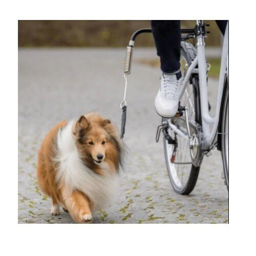 Correa de ciclismo para perros color Multicolor, , large Imagen numero 3