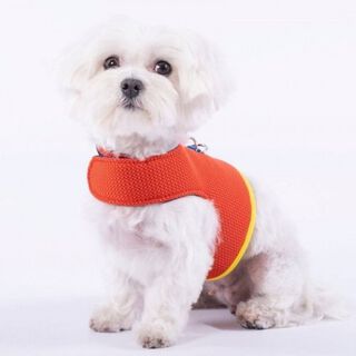 Arnés Yuki para perros color Naranja