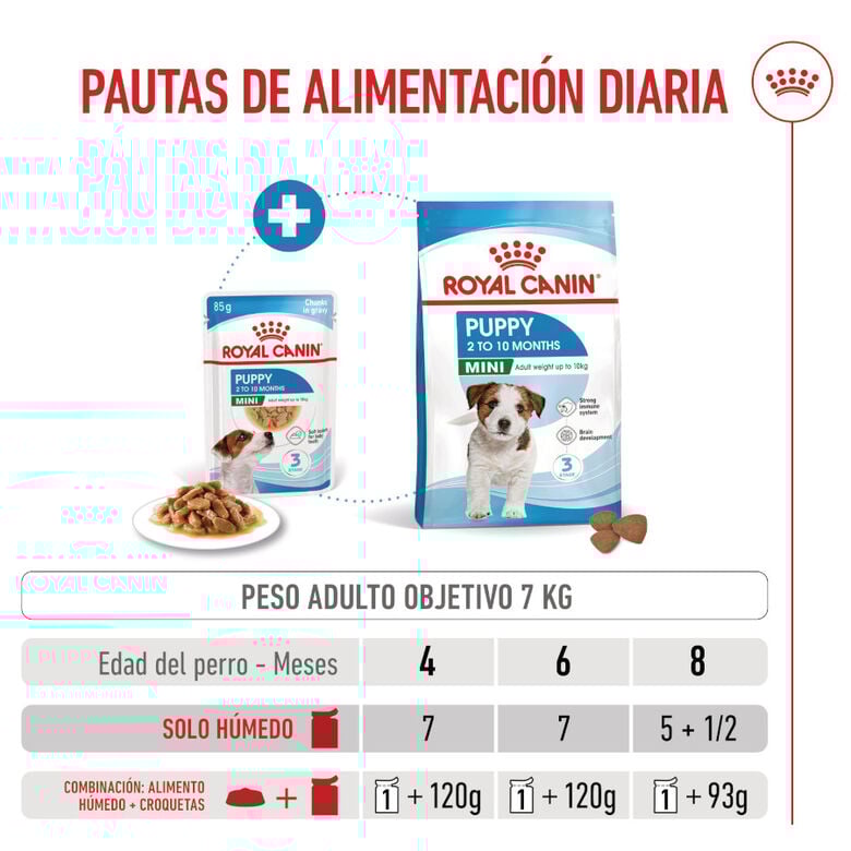Royal Canin Mini Puppy sobre en salsa thumbnail