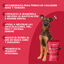 MAIKAI Tendones de Ternera para Perros - 8 Unidades - Chuches Naturales para Perros - Snacks Saludables de Ternera Deshidratada - Golosinas Dieta Barf - Premios, , large indicador imagen numero 4