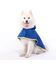 Capa de Lluvia para perro Groc Groc Lola Azul Vivo, , large indicador imagen numero 1