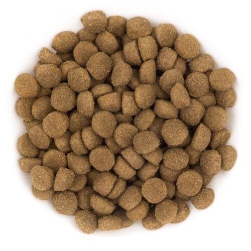 AVANTIS original pienso de cerdo, pollo y buey para perros adultos, , large Imagen numero 2