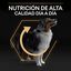 14 kg Pro Plan Medium Adult Pollo pienso para perros, , large indicador imagen numero 8