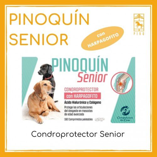 Laboratorios pino pinoquin condroprotector harpagofrito para mascotas senior thumbnail