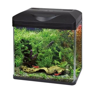 Nayeco Wave Laguna Led Kit Nano Acuario