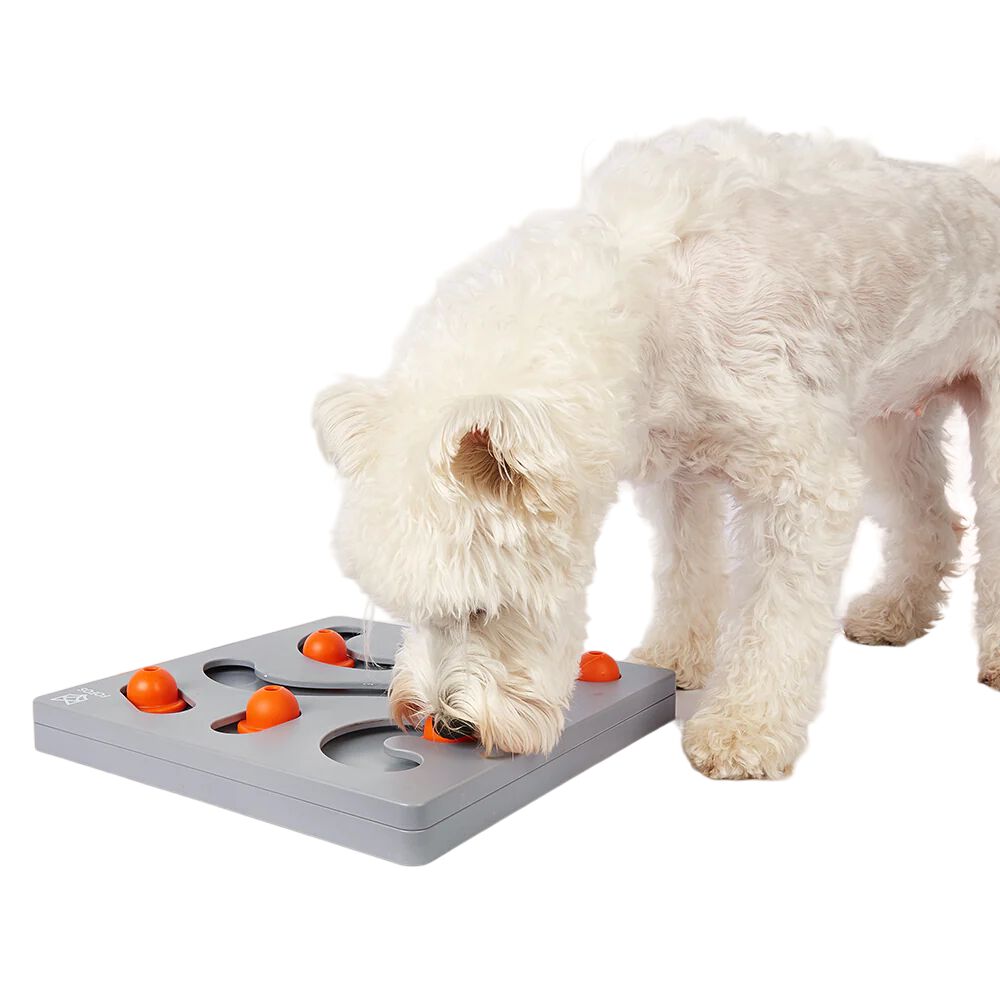 FOFOS | Puzzle Interactivo - Juego de Recompensa  - Para Perro, , large Imagen numero 2